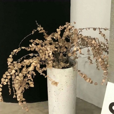 Furry插画光影营造福瑞交流群